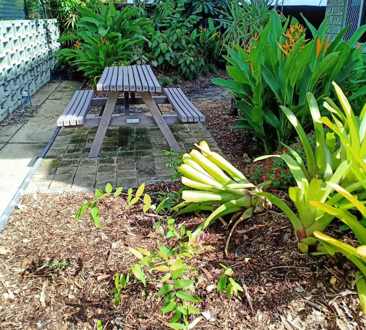 Appartamento 1 Bedroom Home Style Unit Where The Guest Matters Cairns