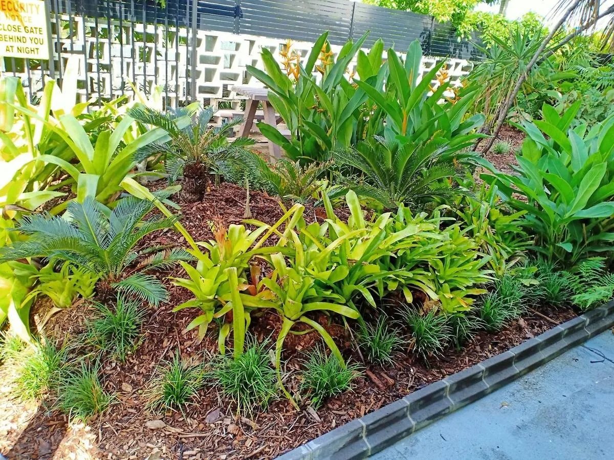 1 Bedroom Home Style Unit Where The Guest Matters Cairns 0*,  Australië